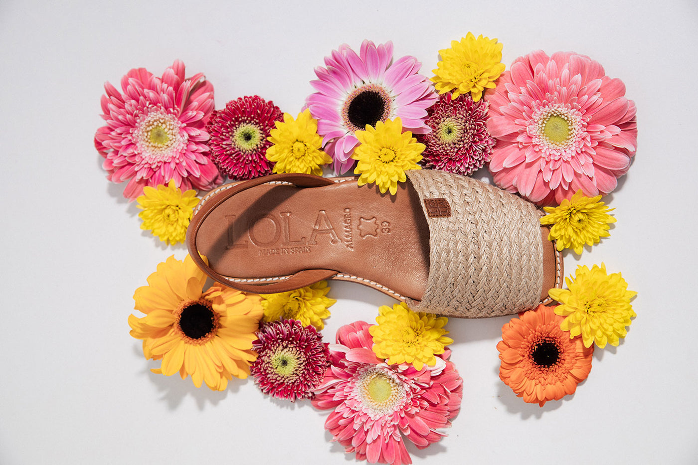 Menorquina plana vista desde arriba color natural