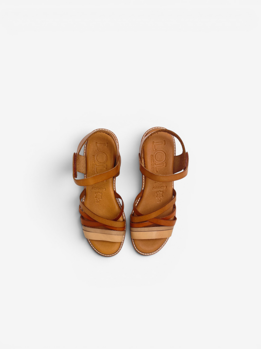 Sandalia Archivo 028 combi marron
